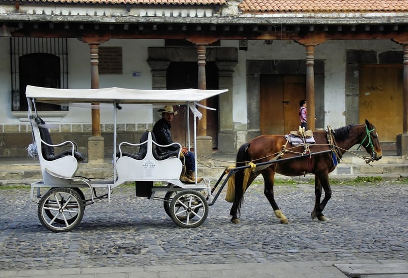 Horse-Drawn Carriage